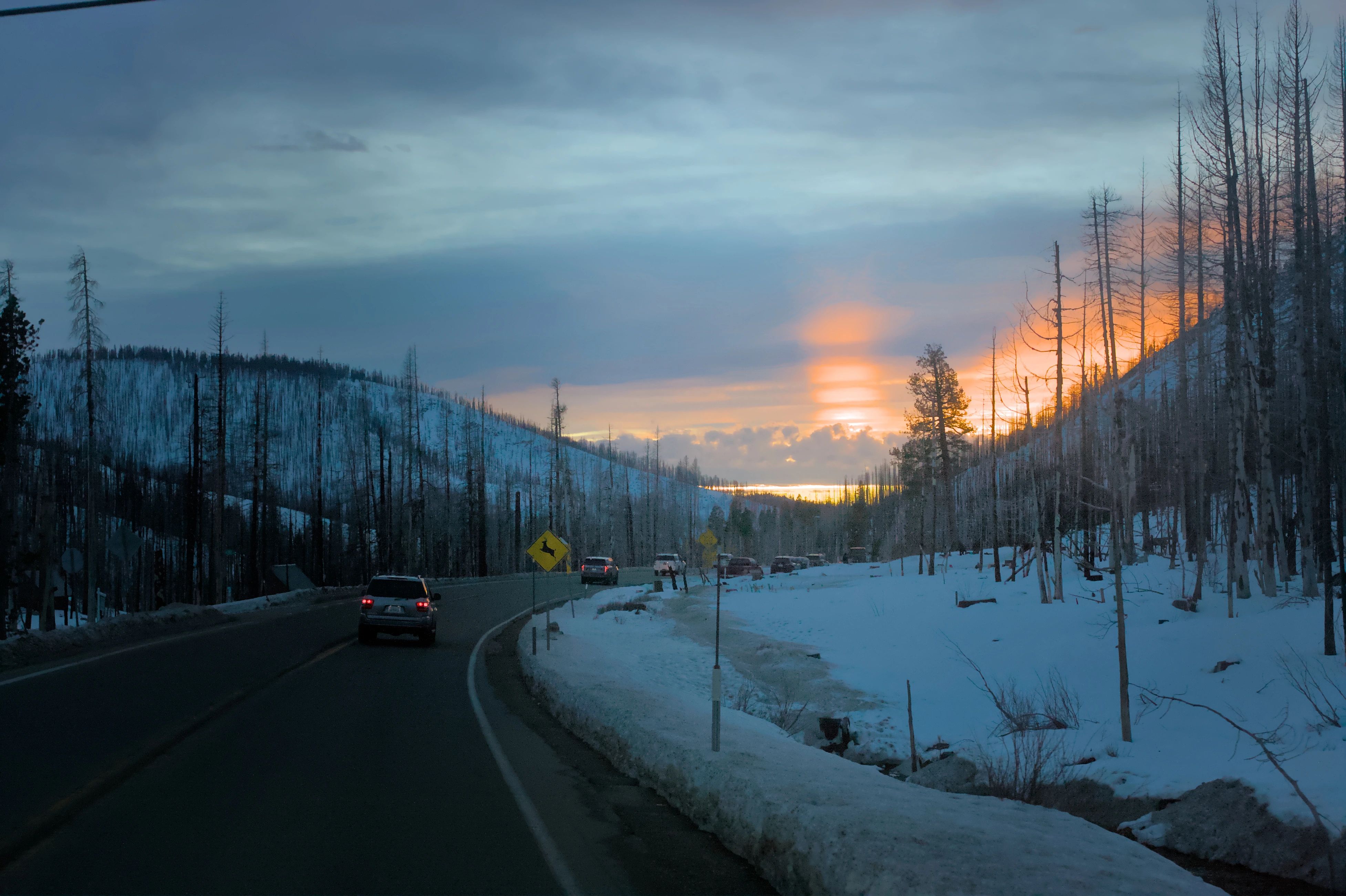 A snowy mountain road curving toward an orange sunset between bare trees